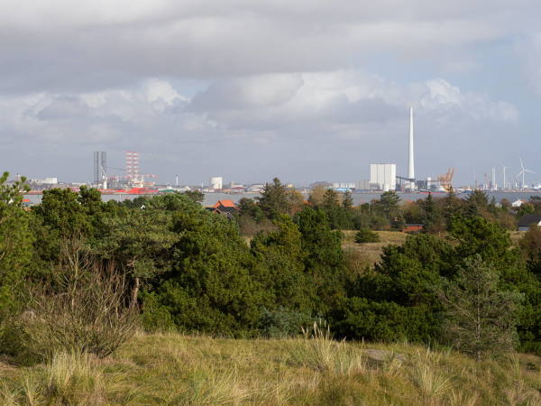 Einfamilienhaus von Lenschow + Pihlmann