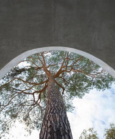 Carport von Wirth Architekten in Berlin