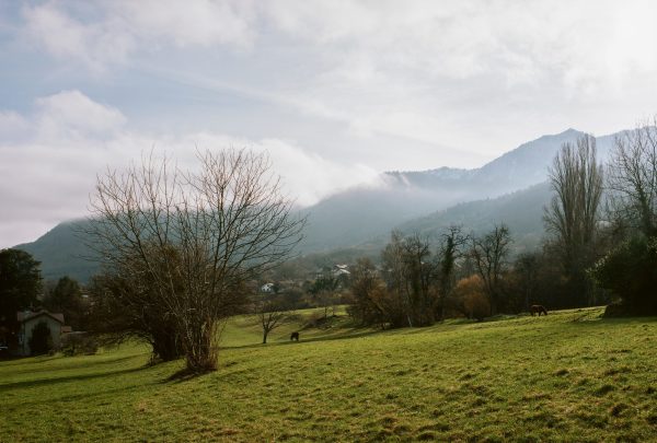 Schulerweiterung in Lugrin von Ateliers O-S Architectes