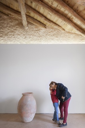 Bodega-Umbau bei Valencia von CRUX Arquitectos