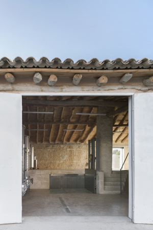 Bodega-Umbau bei Valencia von CRUX Arquitectos