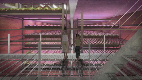 Geflgelfarm im Rotterdamer Hafen von Goldsmith