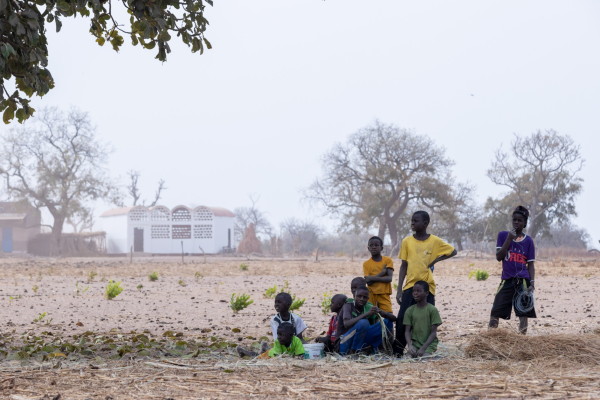 Dorfschule von Manuel Herz und Magueye Ba