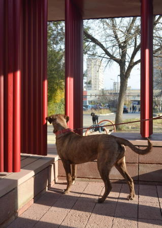 Pavillon von Medium in Tiflis