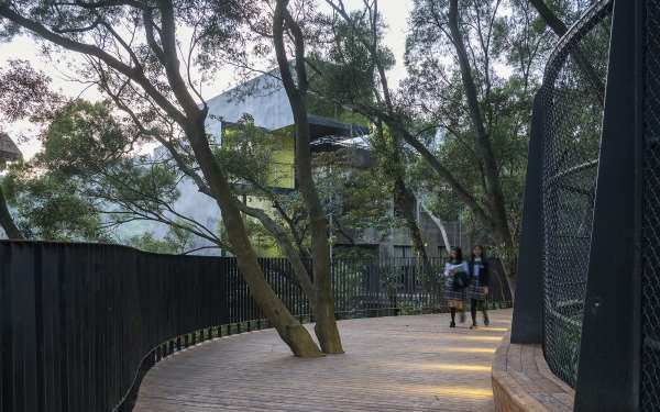 Die Forest Promenade als aufgestnderter Weg, der ebenfalls Teile der  Spontanvegetation des Industriegelndes aufnimmt