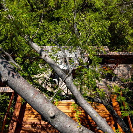 Villa von Frankie Pappas in Sdafrika