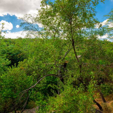 Villa von Frankie Pappas in Sdafrika