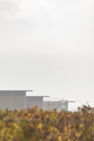 Weingut in S�dm�hren von Chybik + Kristof