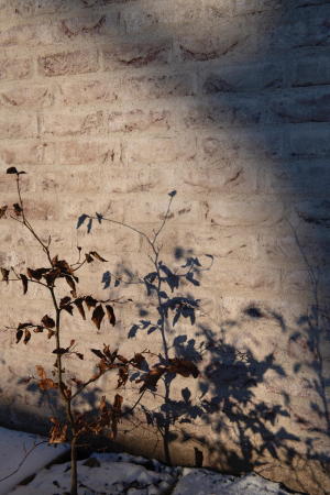 Wohnungsbau in Oslo von Reiulf Ramstad Arkitekter