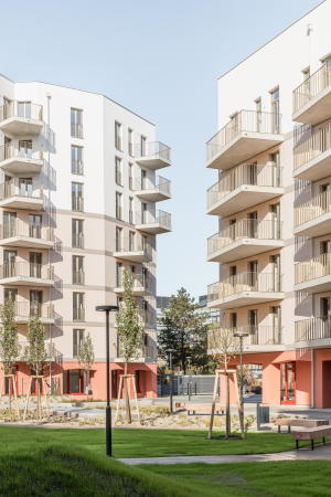 AllesWirdGut und feld72 in Wien