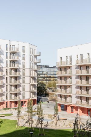 AllesWirdGut und feld72 in Wien