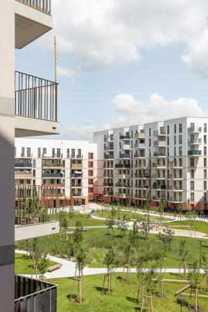 AllesWirdGut und feld72 in Wien