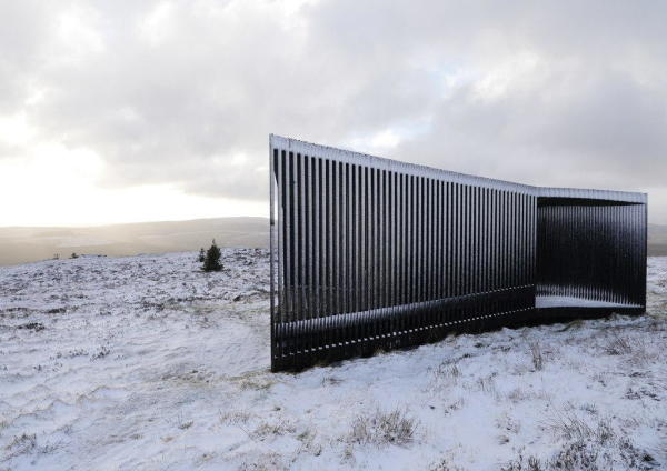 Specere im Kielder National Park