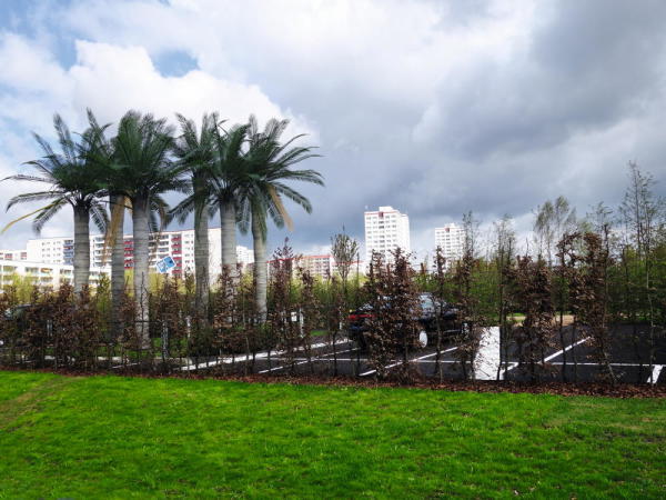 Palmen in einem der zahlreichen Themengärten vor Marzahner Hochhauskulisse, 2017.