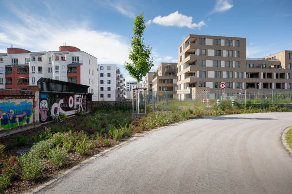 ...zur Bebauung ringsum.