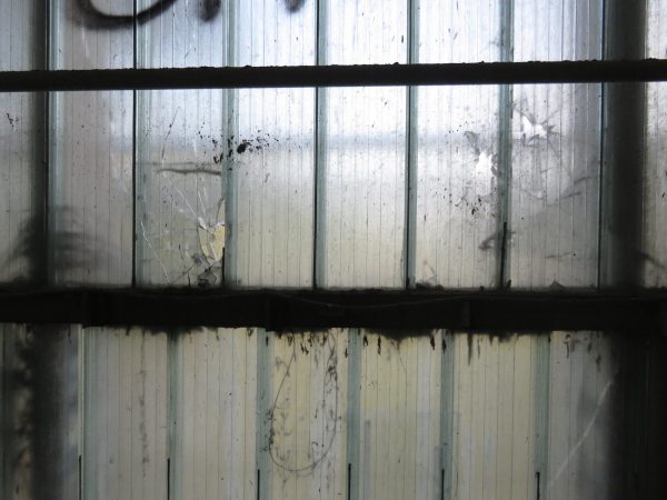 Baustellenbesuch in Magdeburg bei Ulrich M�ther und gmp