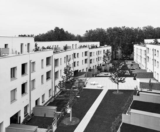 Anerkennung: Liebighfe in Aschaffenburg von Bruno Fioretti Marquez (Berlin)