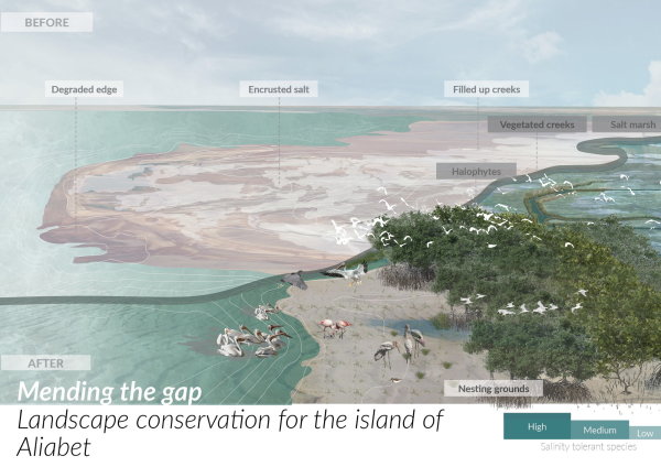 Mending the gap: Landscape conservation for the island of Aliabet von Shreeni Benjamin (Asia Edition)