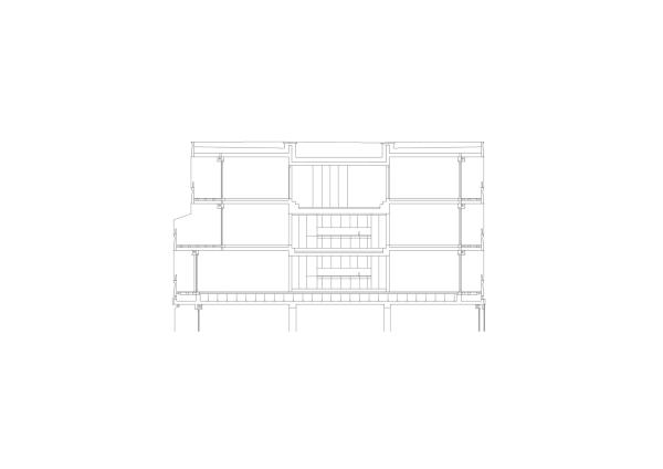 Schnitt durch hinteren Abschnitt