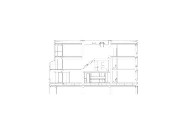 Schnitt durch hinteren Abschnitt