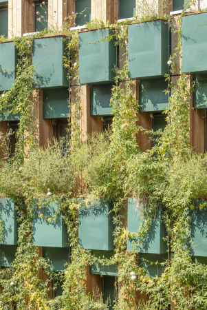 Stadthaus von Manuelle Gautrand Architecture