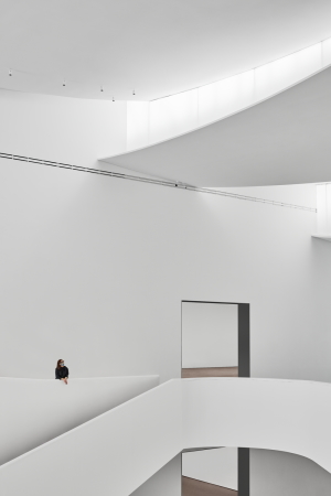 Museum von Steven Holl Architects in Houston