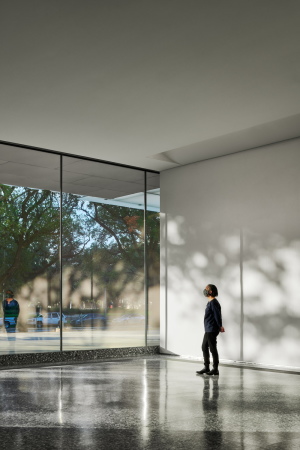 Museum von Steven Holl Architects in Houston