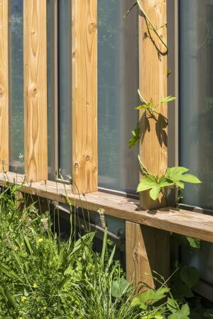 Sportzentrum mit Grnanlage in Paris von archi5