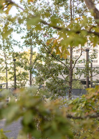 Platzgestaltung von Bureau