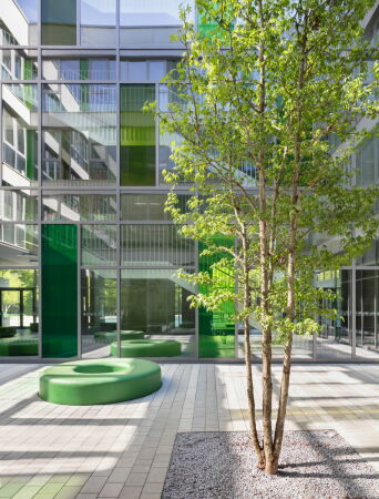 Schule von Ackermann + Renner in Kln