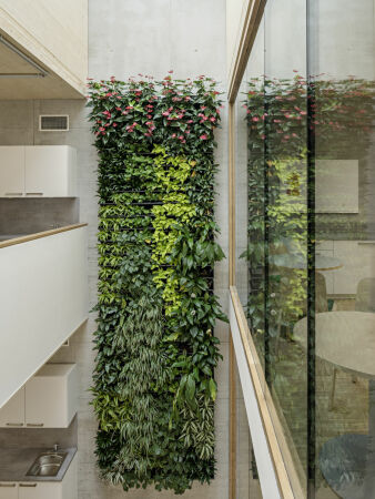 Seminarzentrum in Wien von SWAP und DELTA