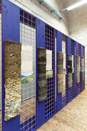 Die Bodenschnitte des Bodenkundlers Walter Fitz in der Ausstellung im Architekturzentrum Wien.