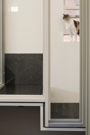 Katzencaf� in Buffalo von Davidson Rafailidis