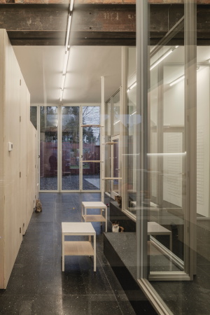 Katzencaf in Buffalo von Davidson Rafailidis