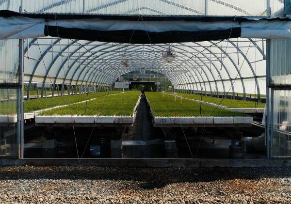 Wolfgang Rieder verkaufte eine Sparte seines Unternehmens und beschloss, den Erls in Projekte zu investieren, die den CO2-Fuabdruck der Firma langfristig kompensieren.