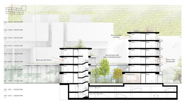 4. Preis (4. Preis Ideenteil): Lorber Paul Architekten (Kln), Club L94 Landschaftsarchitekten (Kln) Querschnitt