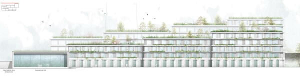 4. Preis (4. Preis Ideenteil): Lorber Paul Architekten (Kln), Club L94 Landschaftsarchitekten (Kln) Ansicht Rheinblick