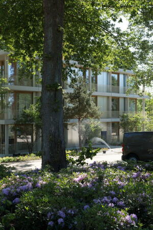 Dyvik Kahlen und Buroharro in Arnheim