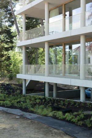 Dyvik Kahlen und Buroharro in Arnheim