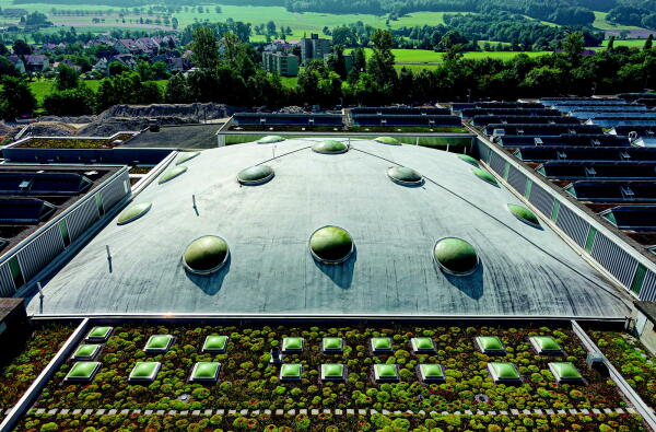 Versandhalle Coop in Wangen bei Olten, 1960. Heinz Isler