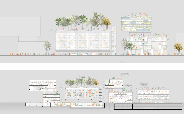 2. Rundgang: Querkraft Architekten ZT (Wien), Ansicht + Schnitt
