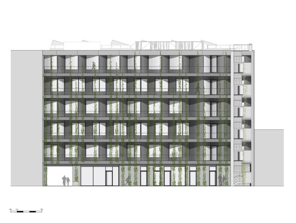 Ansicht Neubau Hoffassade mit kommender Begrnung