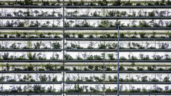 Fabrik von rollimarchini und G8