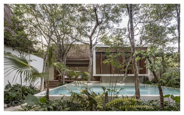 Jaque Studio: �Jungle Keva�, Mexiko