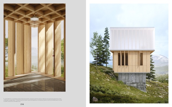 James Barber: Vertical Bath, Norway