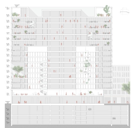 1. Preis Hochbau: Morris+Company und Kirchberger & Wiegner Rohde, Schnitt