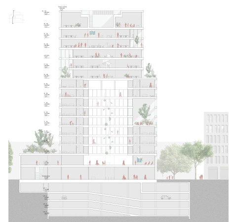1. Preis Hochbau: Morris+Company und Kirchberger & Wiegner Rohde, Schnitt