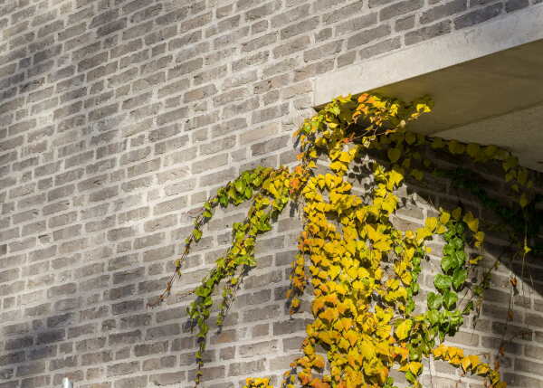 Schulcampus in Kln von gernot schulz architektur