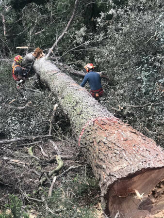 Zirkulres Bauen bei Barcelona
