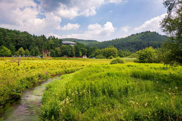 Der Naturpark Nordvogesen umfasst eine Flche on 130.500 Hektar.